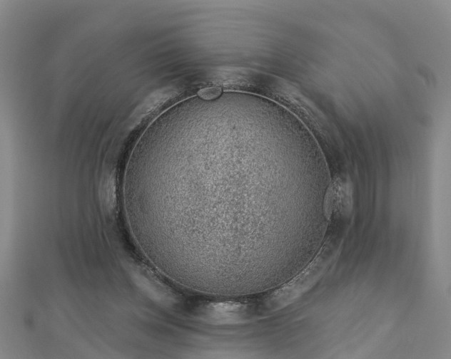 X0000113000158200909031300