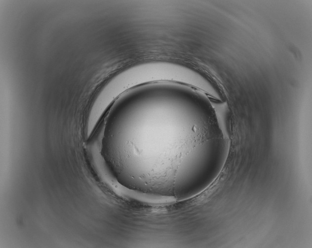 X0000113000162200909031300