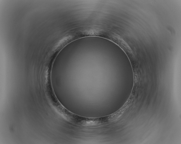 X0000113000163200909031300