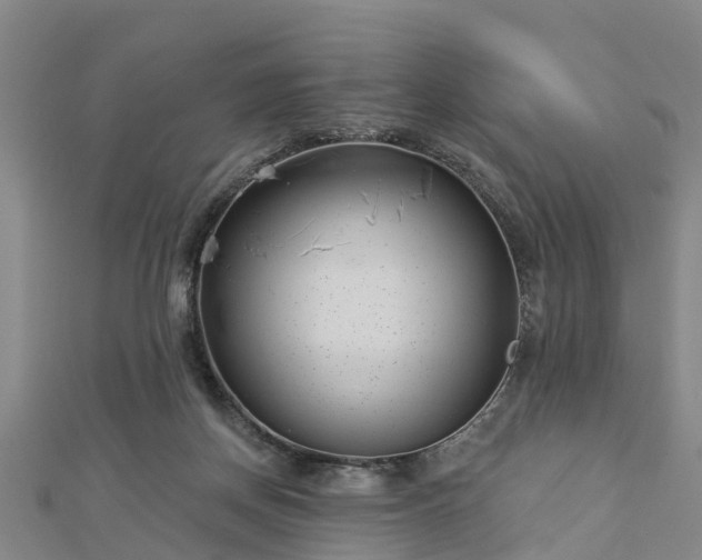 X0000113000166200909031300