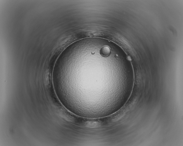 X0000113000169200909031300