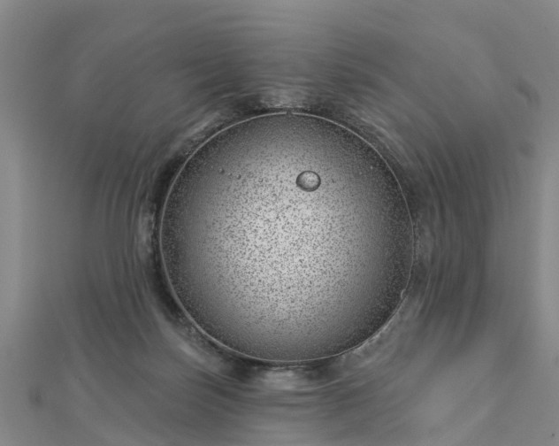 X0000113000171200909031300