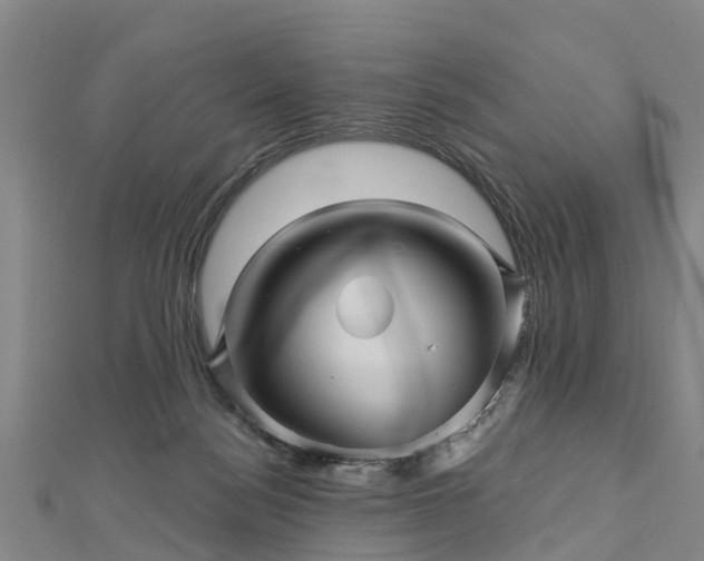 X0000113000172200909031300