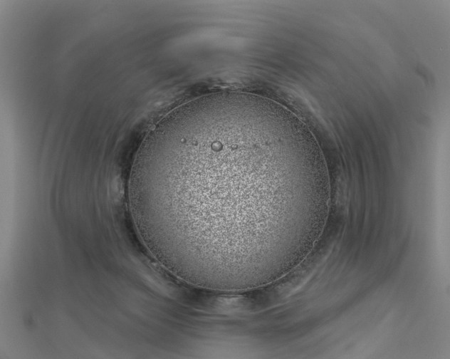 X0000113000173200909031300