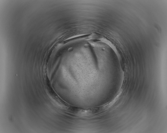 X0000113000174200909031300