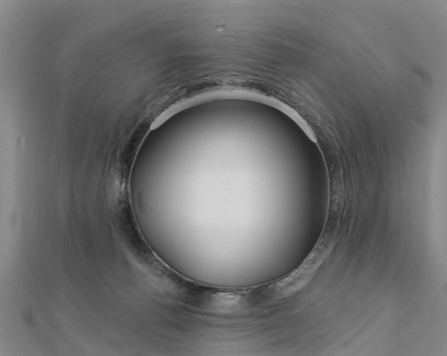 X0000113000176200909031300