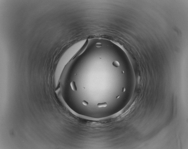 X0000113000180200909031300