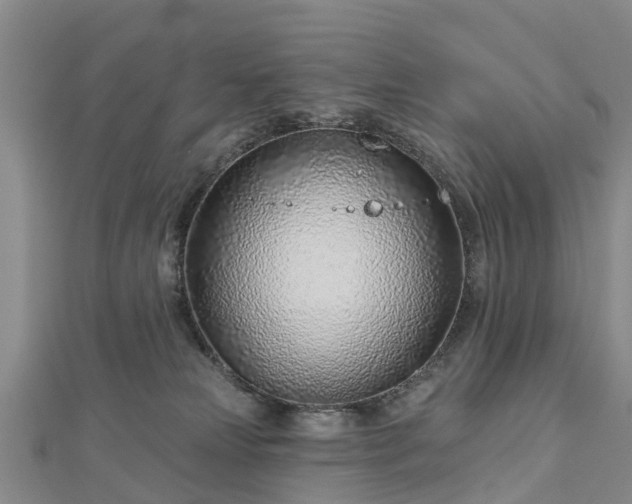 X0000113000181200909031300