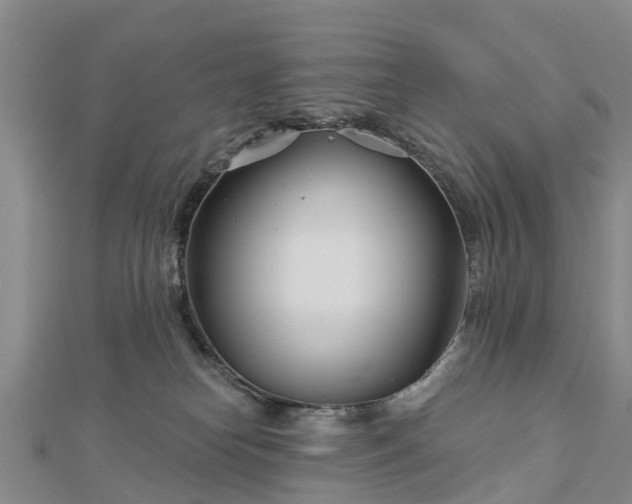 X0000113000182200909031300