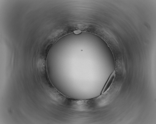 X0000113000184200909031300