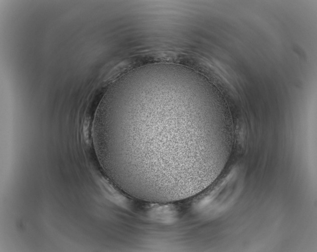 X0000113000185200909031301