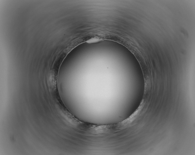 X0000113000186200909031301