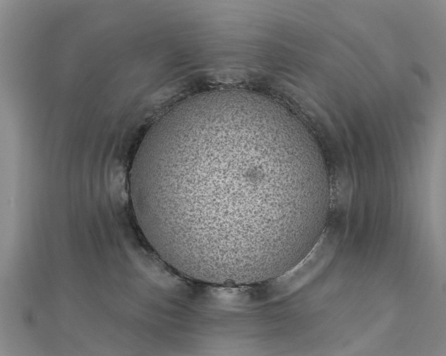 X0000113000187200909031301