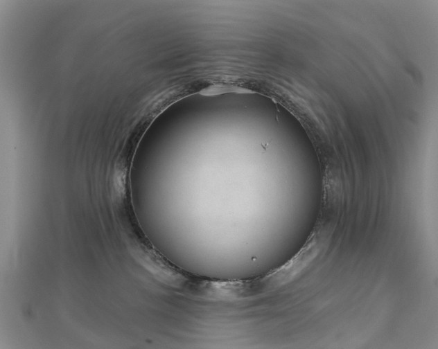 X0000113000188200909031301