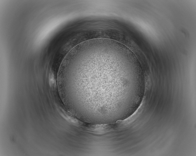 X0000113000191200909031301