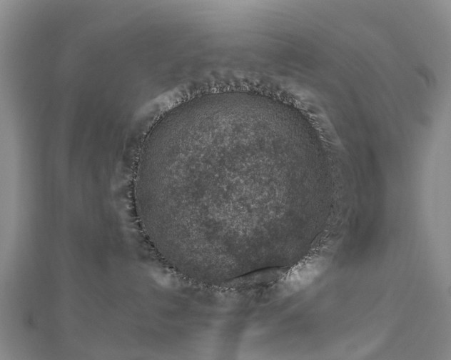 X0000113000192200909031301