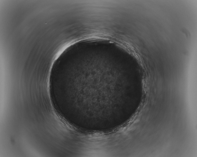 X0000113000196200909031300