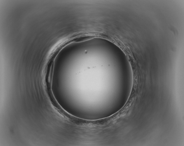 X0000113000197200909031300