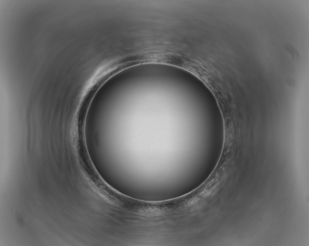 X0000113000198200909031300