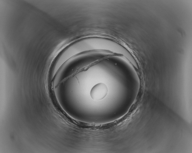 X0000113000199200909031300