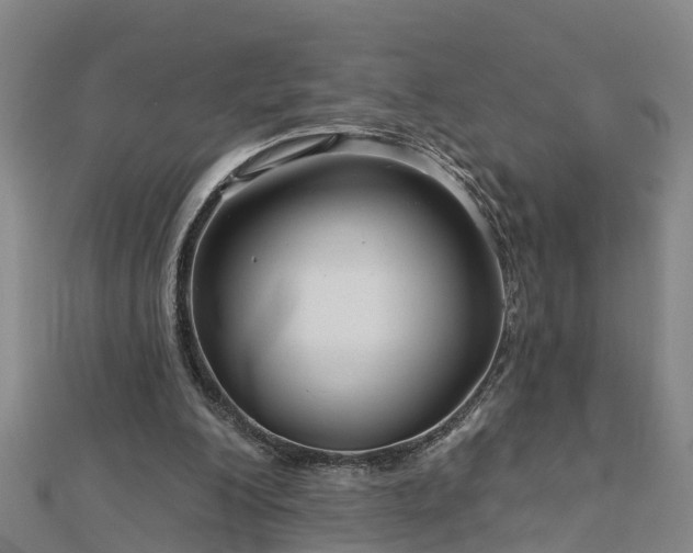 X0000113000200200909031300