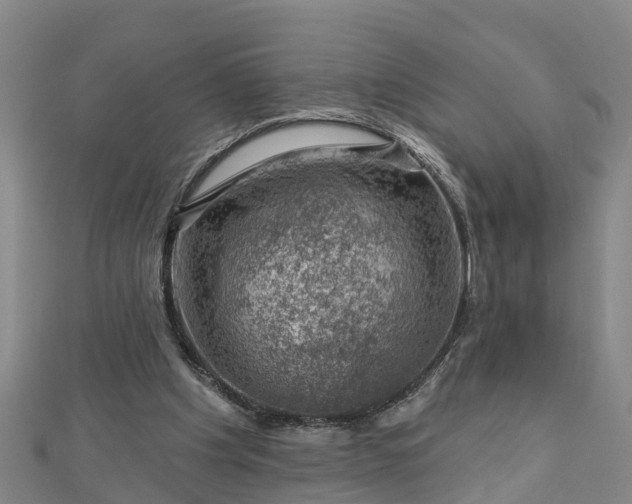 X0000113000201200909031300