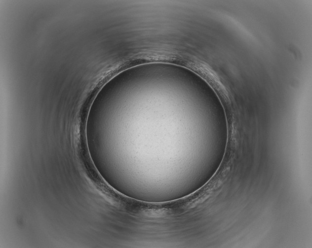 X0000113000202200909031300