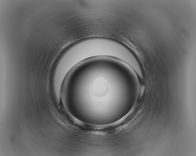 X0000113000203200909031300