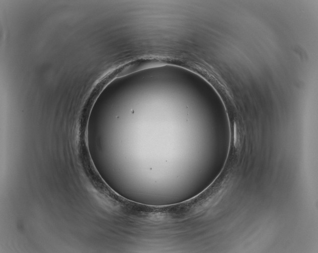 X0000113000204200909031300