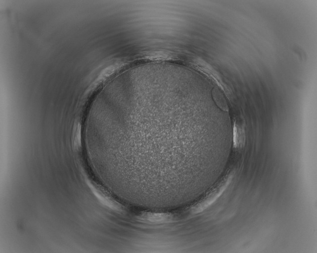 X0000113000205200909031300