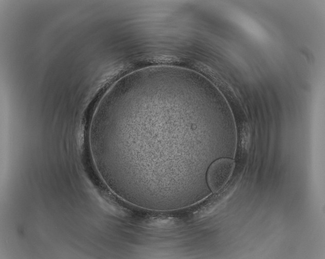 X0000113000206200909031300