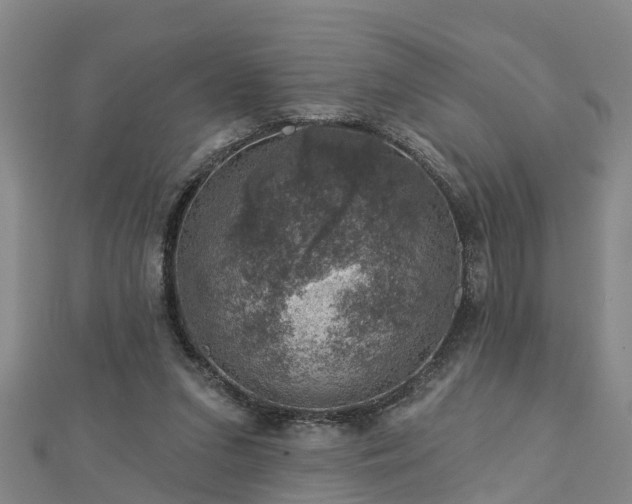 X0000113000207200909031300