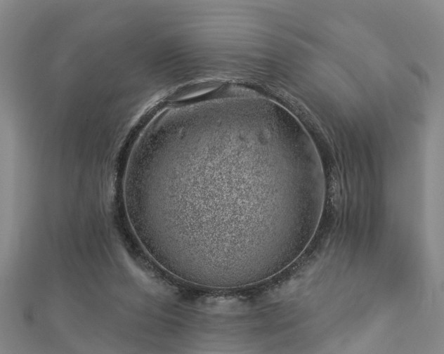 X0000113000208200909031300