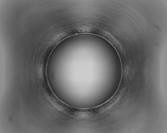 X0000113000209200909031300