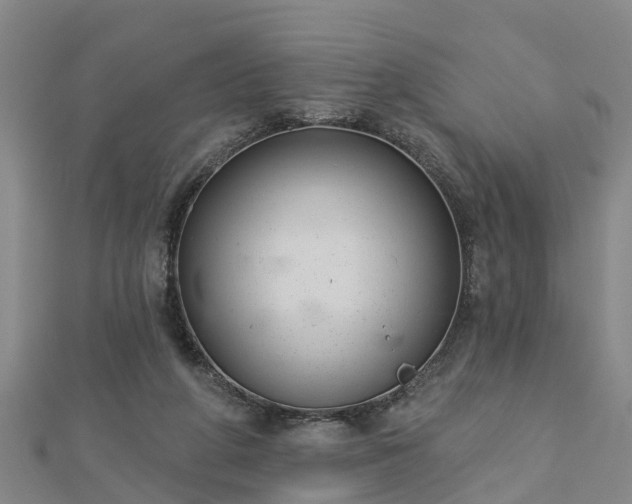 X0000113000210200909031300