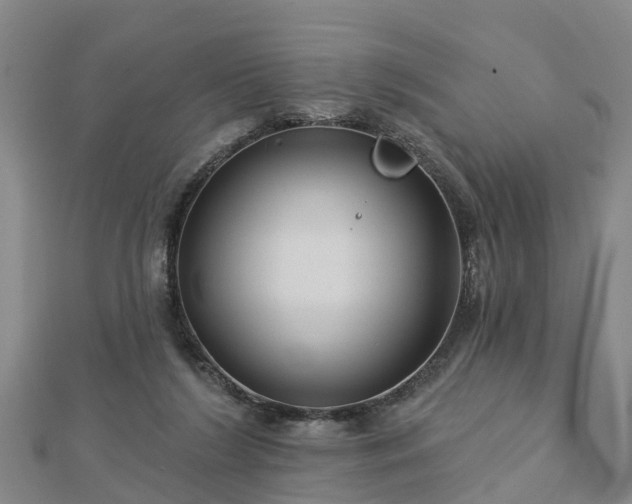 X0000113000212200909031300