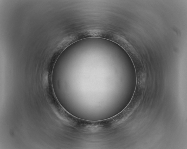 X0000113000213200909031300