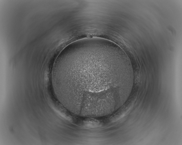 X0000113000215200909031300