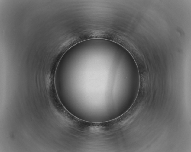 X0000113000216200909031300