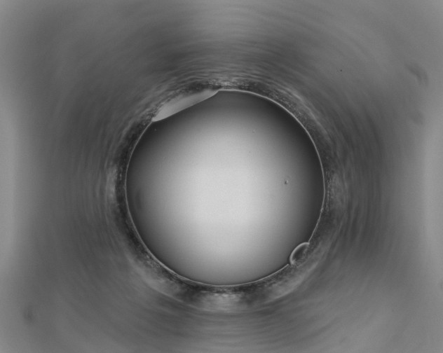 X0000113000217200909031300