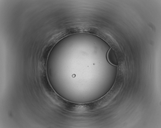 X0000113000218200909031300