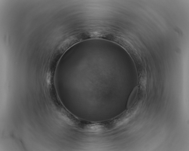 X0000113000219200909031300