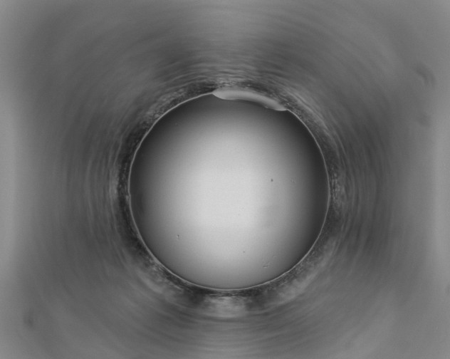 X0000113000221200909031300