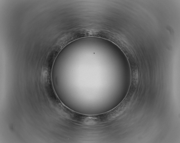 X0000113000222200909031300