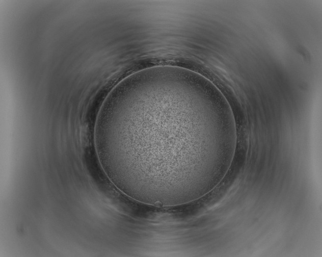 X0000113000224200909031300