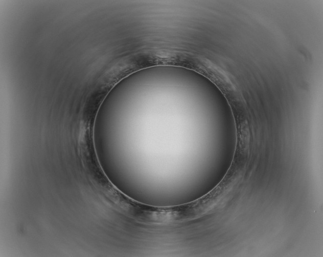 X0000113000225200909031300