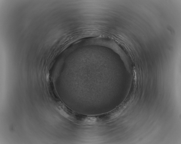 X0000113000227200909031300