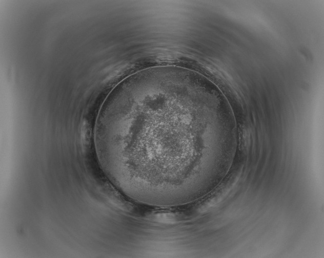 X0000113000228200909031300