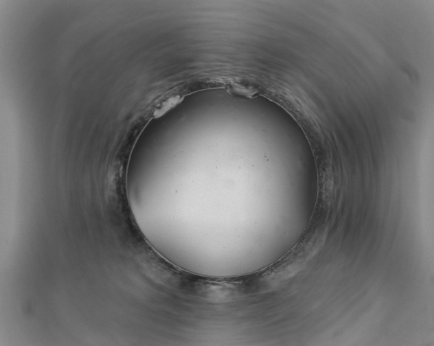 X0000113000229200909031300