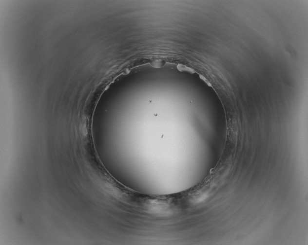 X0000113000232200909031259